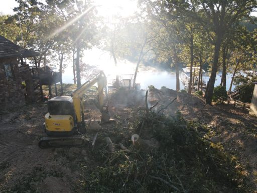 Tree Removal